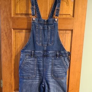 Old Navy overalls